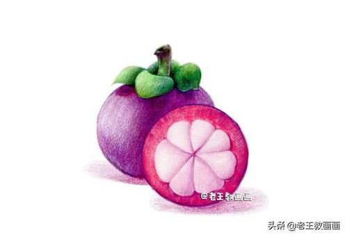 彩鉛入門(mén)小教程,教你畫(huà)山竹,零基礎(chǔ)也可以學(xué)會(huì)